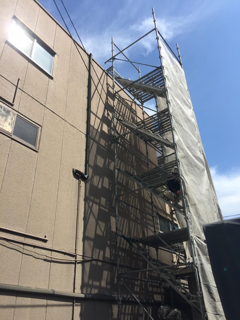 ご紹介たくさん 本文画像