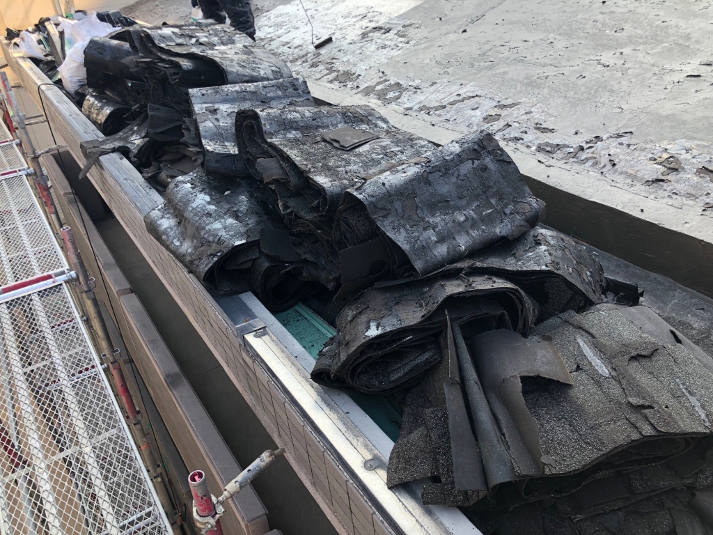 屋根ゴミ 本文画像