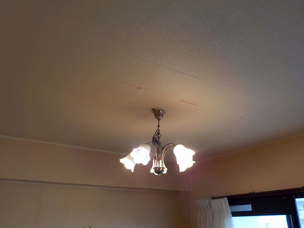 思わぬ原因での漏水 本文画像