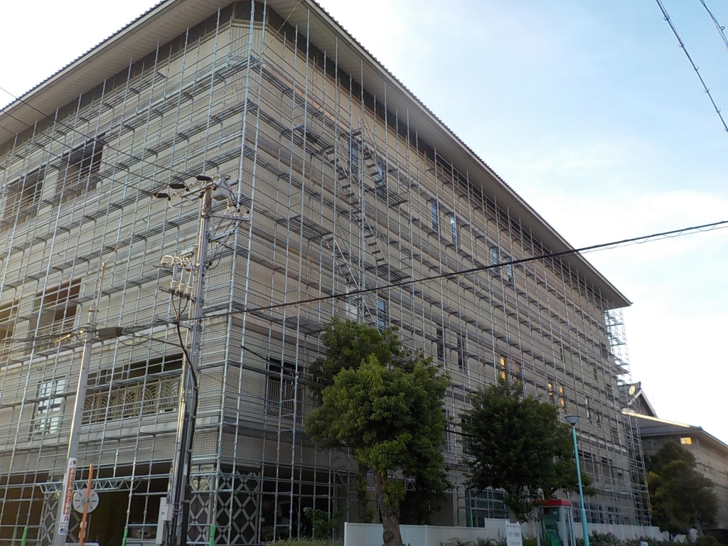 はじめまして、ナグラ新入社員 渡部です！ 本文画像