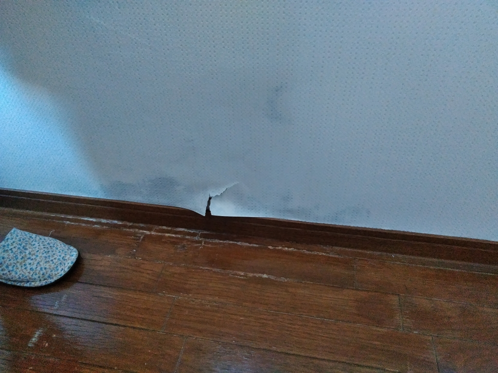 内装の相談もお任せください 本文画像