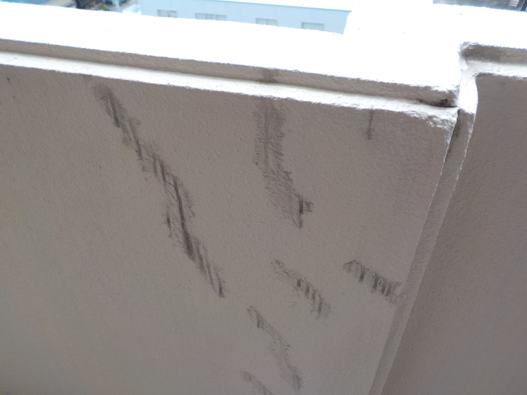 ブリード現象 本文画像