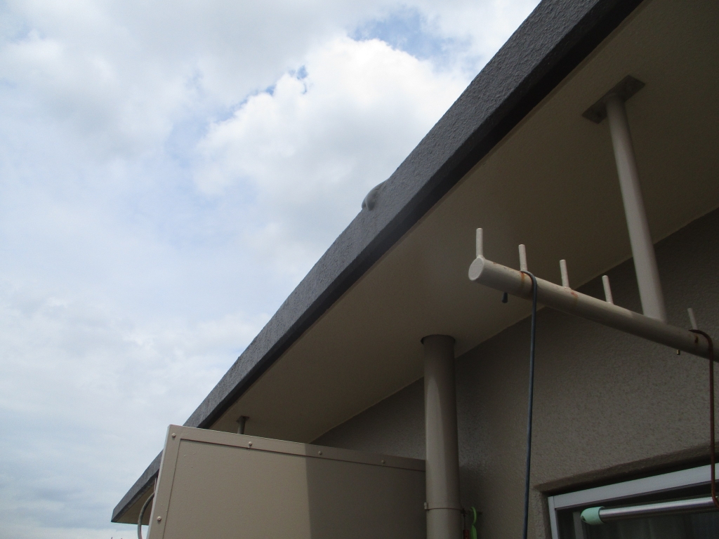 いたずらする古い塗膜 本文画像