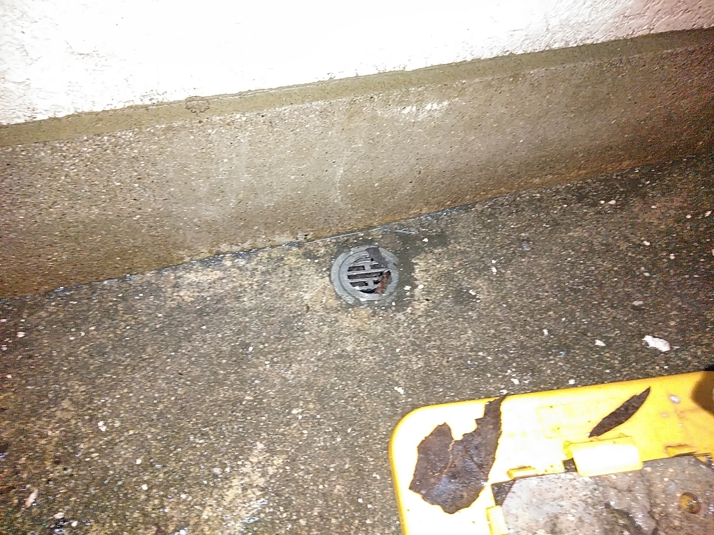 水溜まりからの… 本文画像